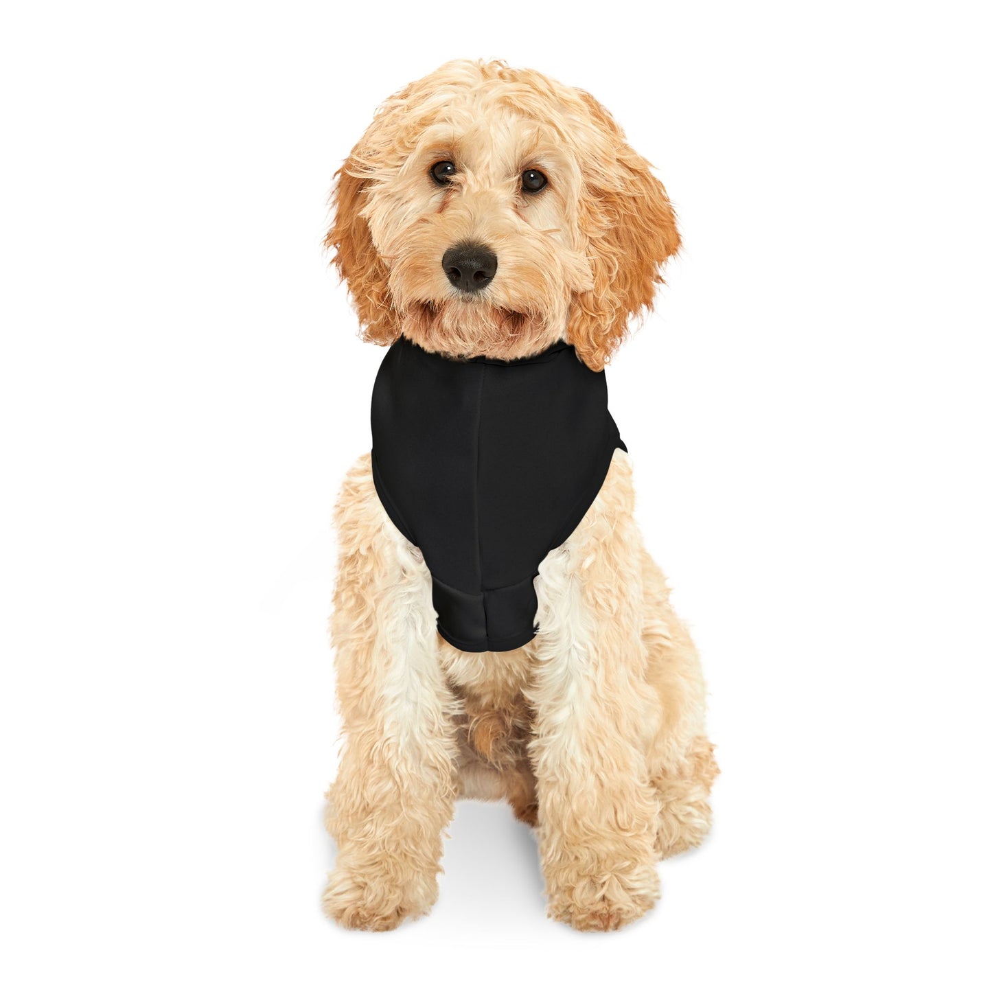 Black Pet Hoodie for Dogs - Perfect for Spring and Fall