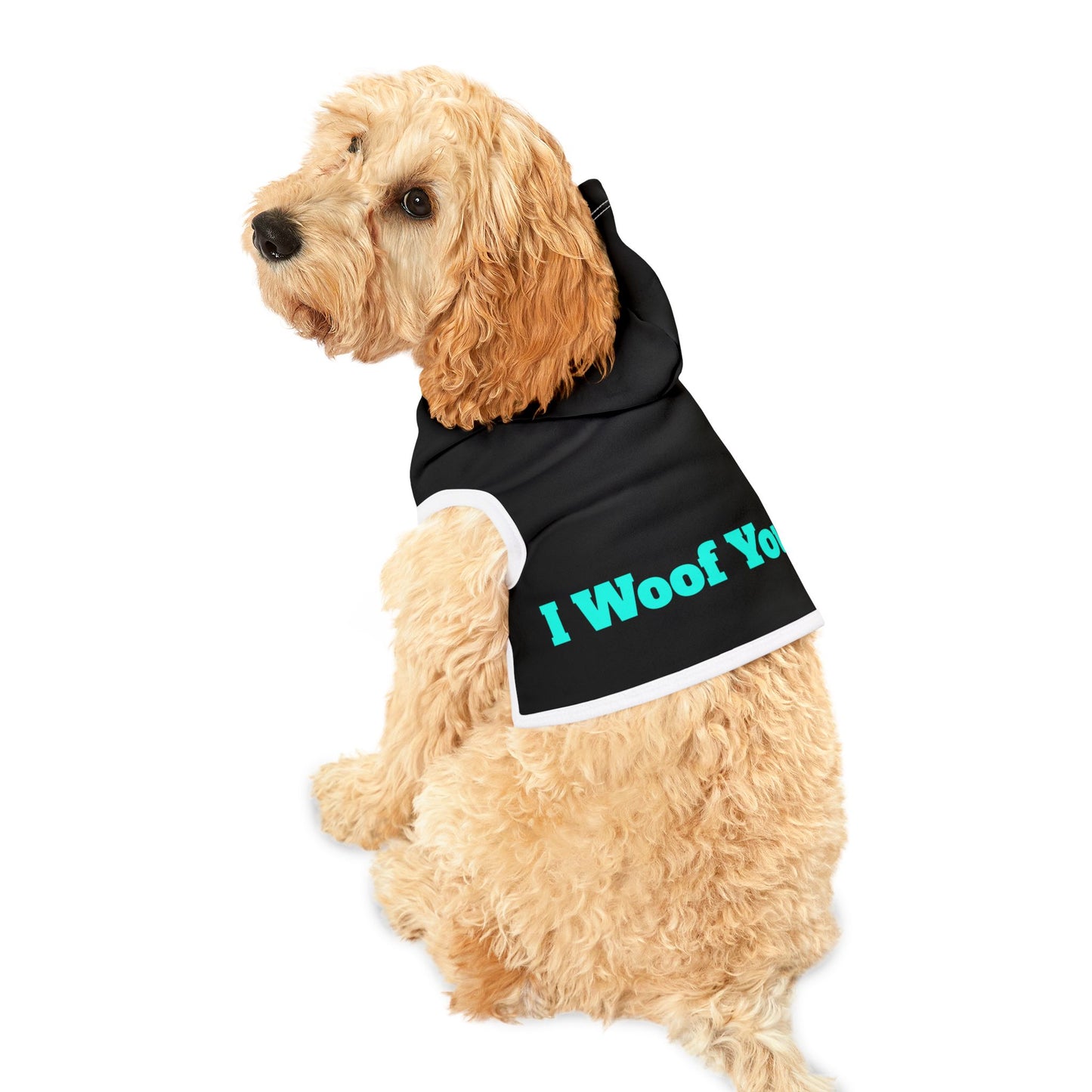 Black Pet Hoodie for Dogs - Perfect for Spring and Fall