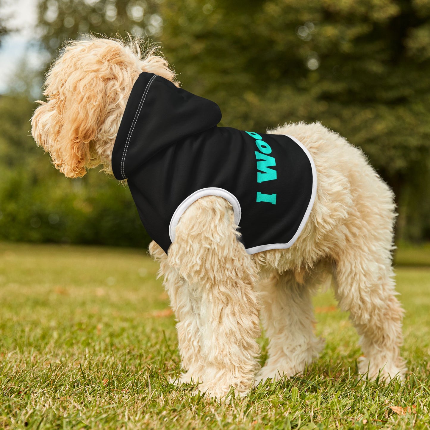 Black Pet Hoodie for Dogs - Perfect for Spring and Fall