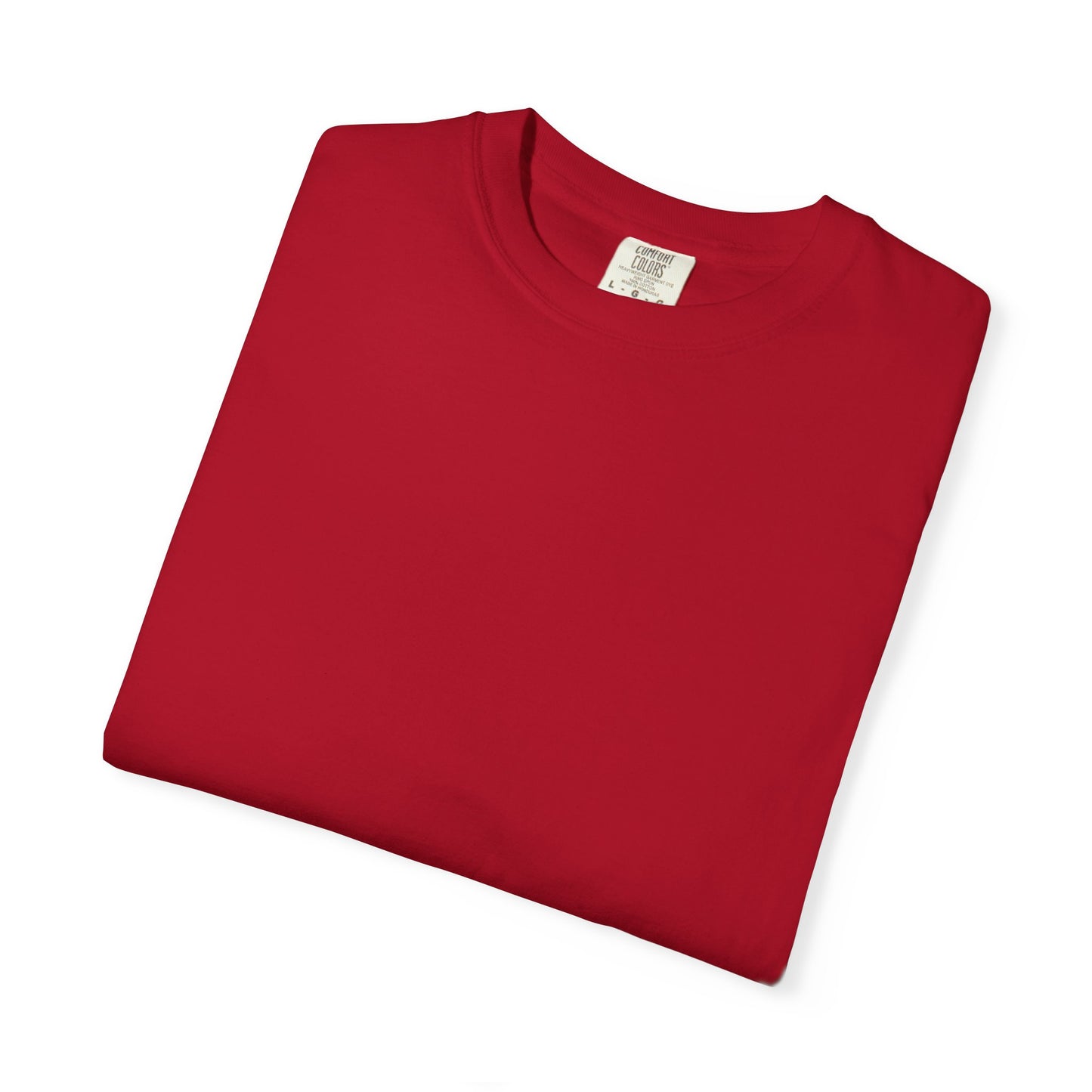 Son of the King Men's T-shirt