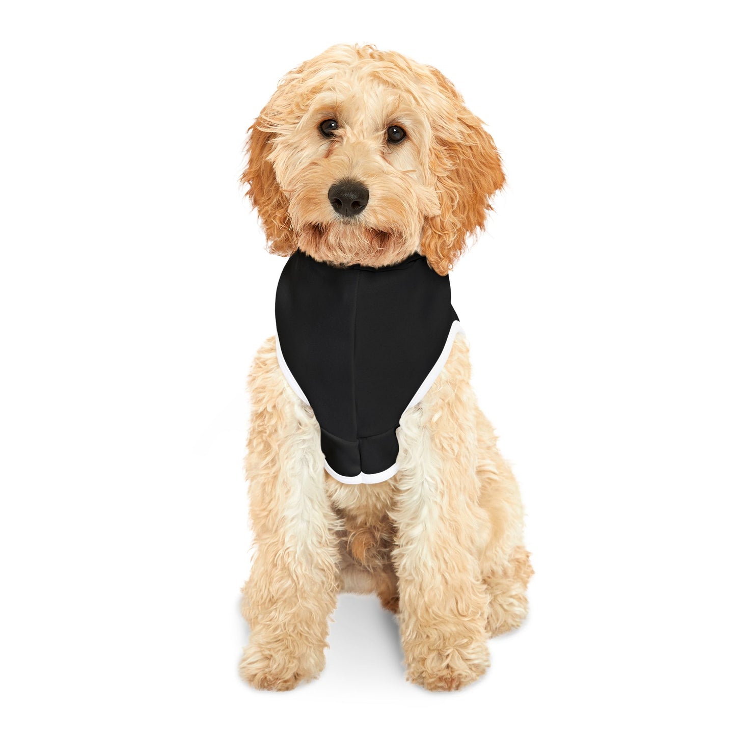 Black Pet Hoodie for Dogs - Perfect for Spring and Fall