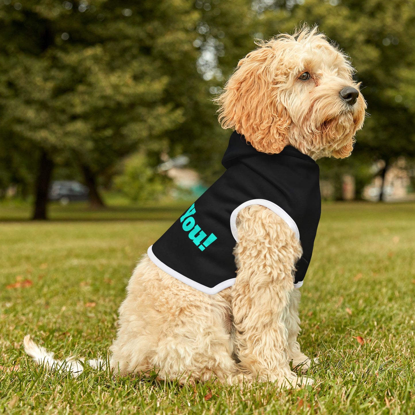 Black Pet Hoodie for Dogs - Perfect for Spring and Fall