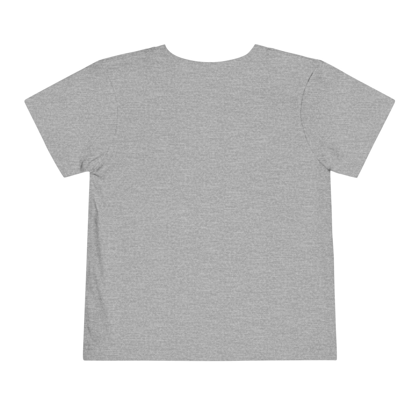Toddler Tee Funny For Boys