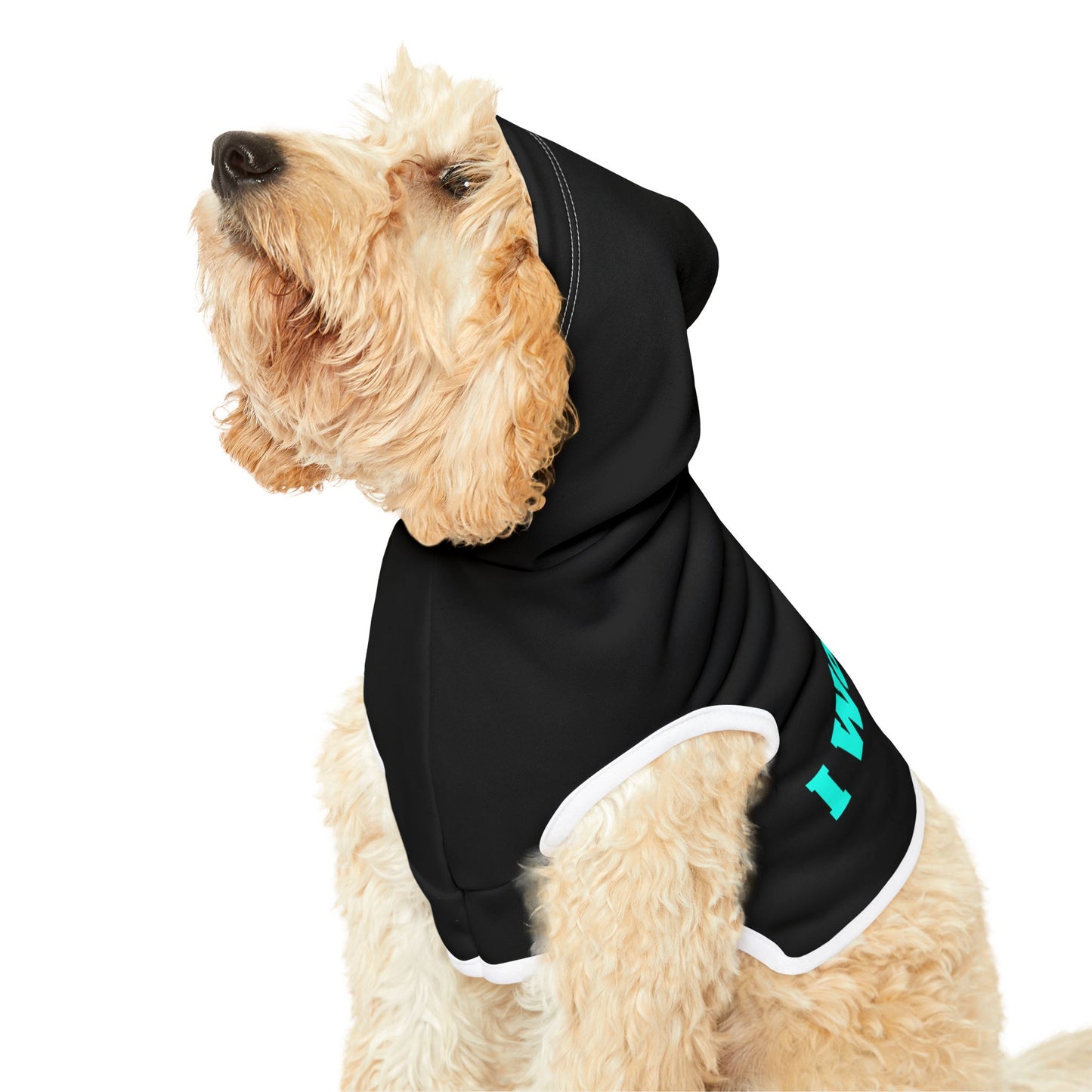 Black Pet Hoodie for Dogs - Perfect for Spring and Fall
